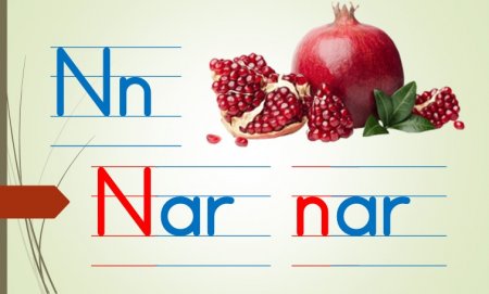 1. Sınıf İlkokuma Yazma Çalışması Nn Sesi Pano İçin Afiş