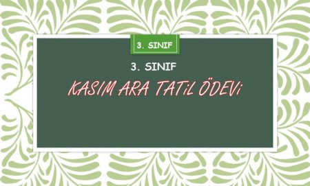 3. Sınıf Kasım ara Tatili Ödevi