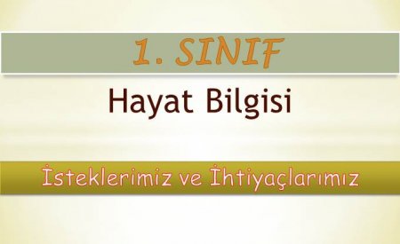 1. Sınıf Hayat Bilgisi İsteklerimiz ve İhtiyaçlarımız Konu Özeti