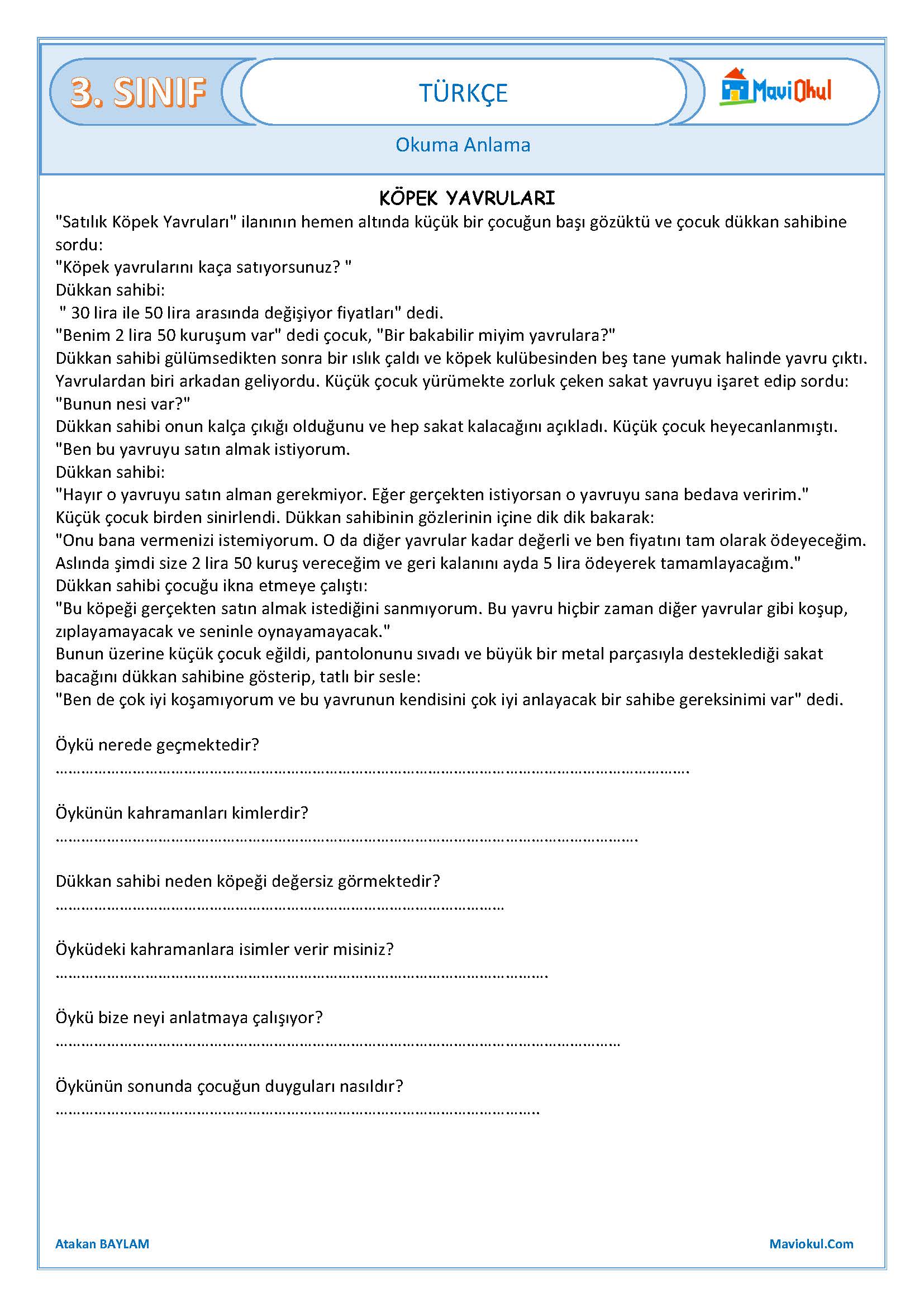 3. Sınıf Türkçe Okuma Anlama Çalışması - Köpek Yavruları