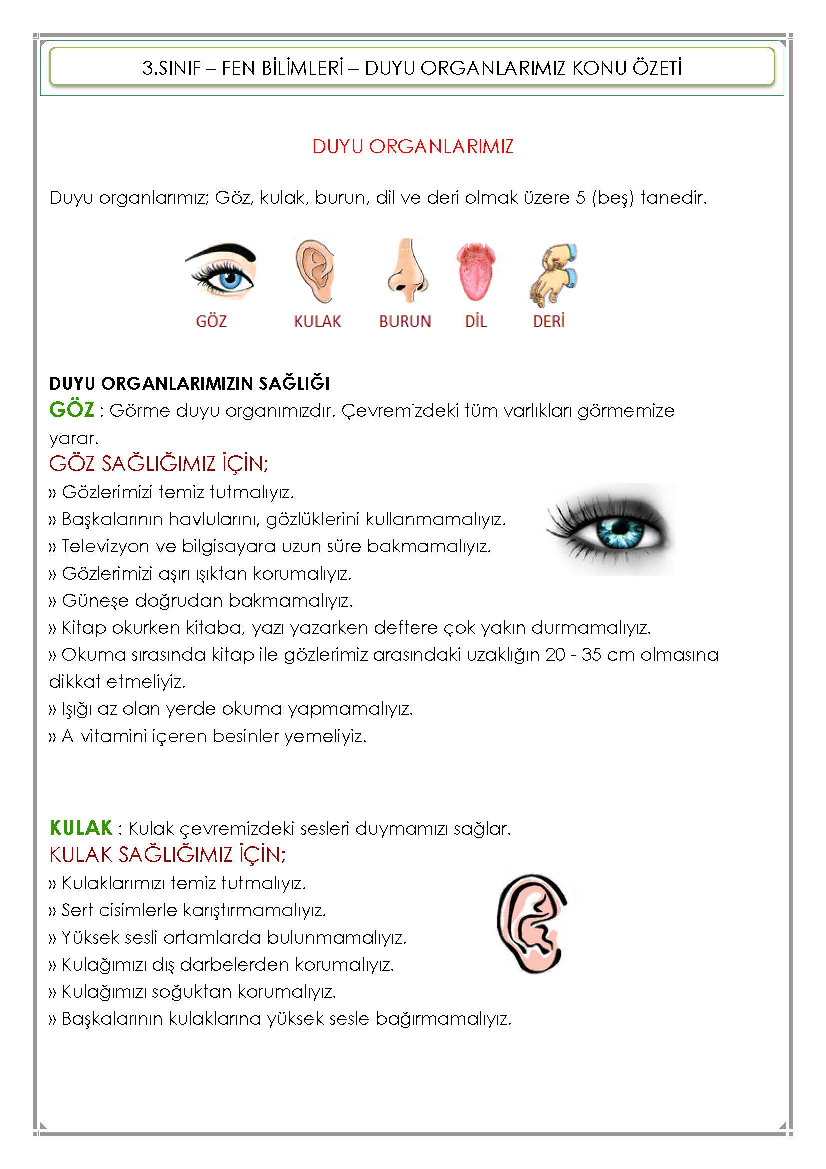 3.Sınıf - Fen Bilimleri - Duyu Organlarımız Konu Özeti