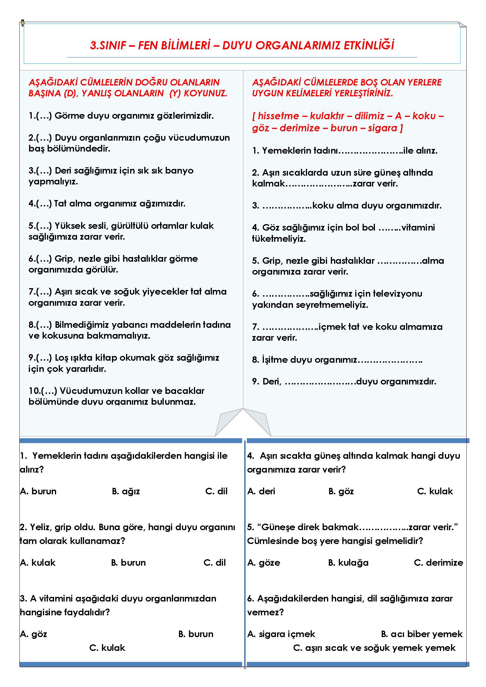 3. Sınıf Fen Bilimleri Duyu Organlarımız Etkinliği