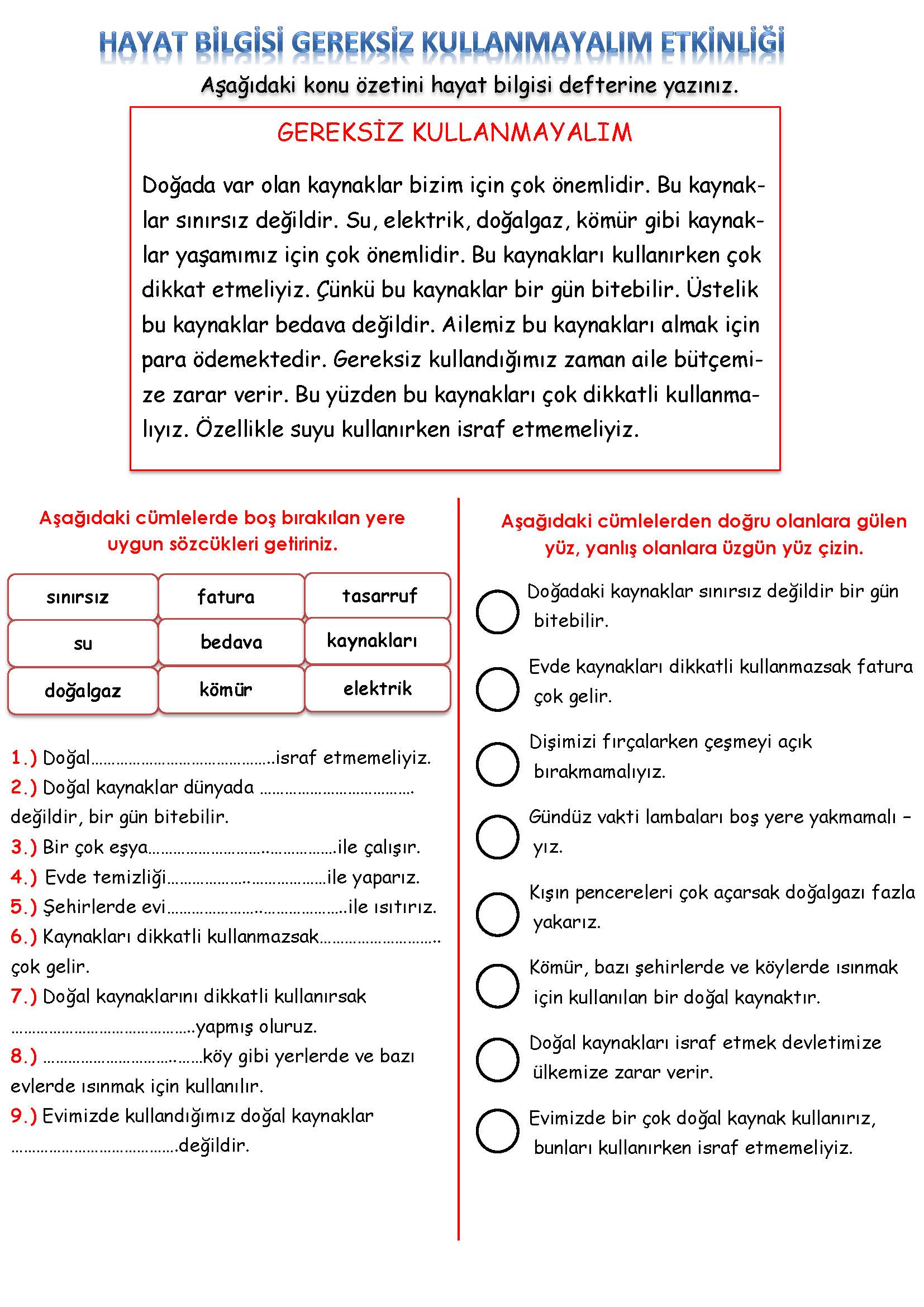2. Sınıf Hayat Bilgisi Gereksiz Kullanmayalım Etkinliği