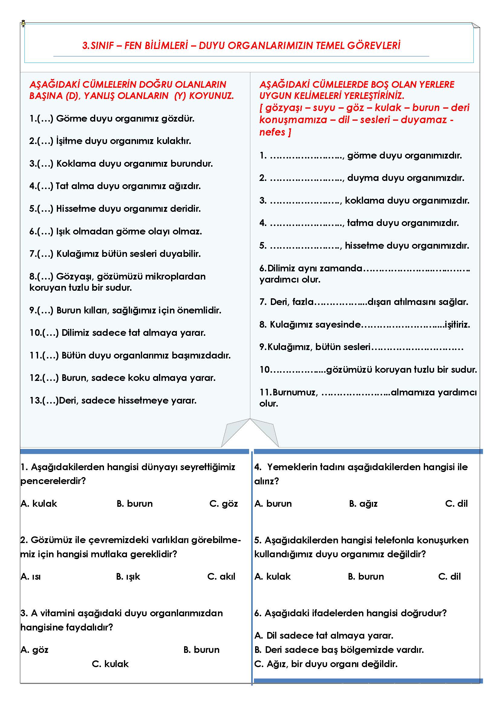 3. Sınıf Fen Bilimleri Duyu Organlarının Temel Görevleri Etkinliği