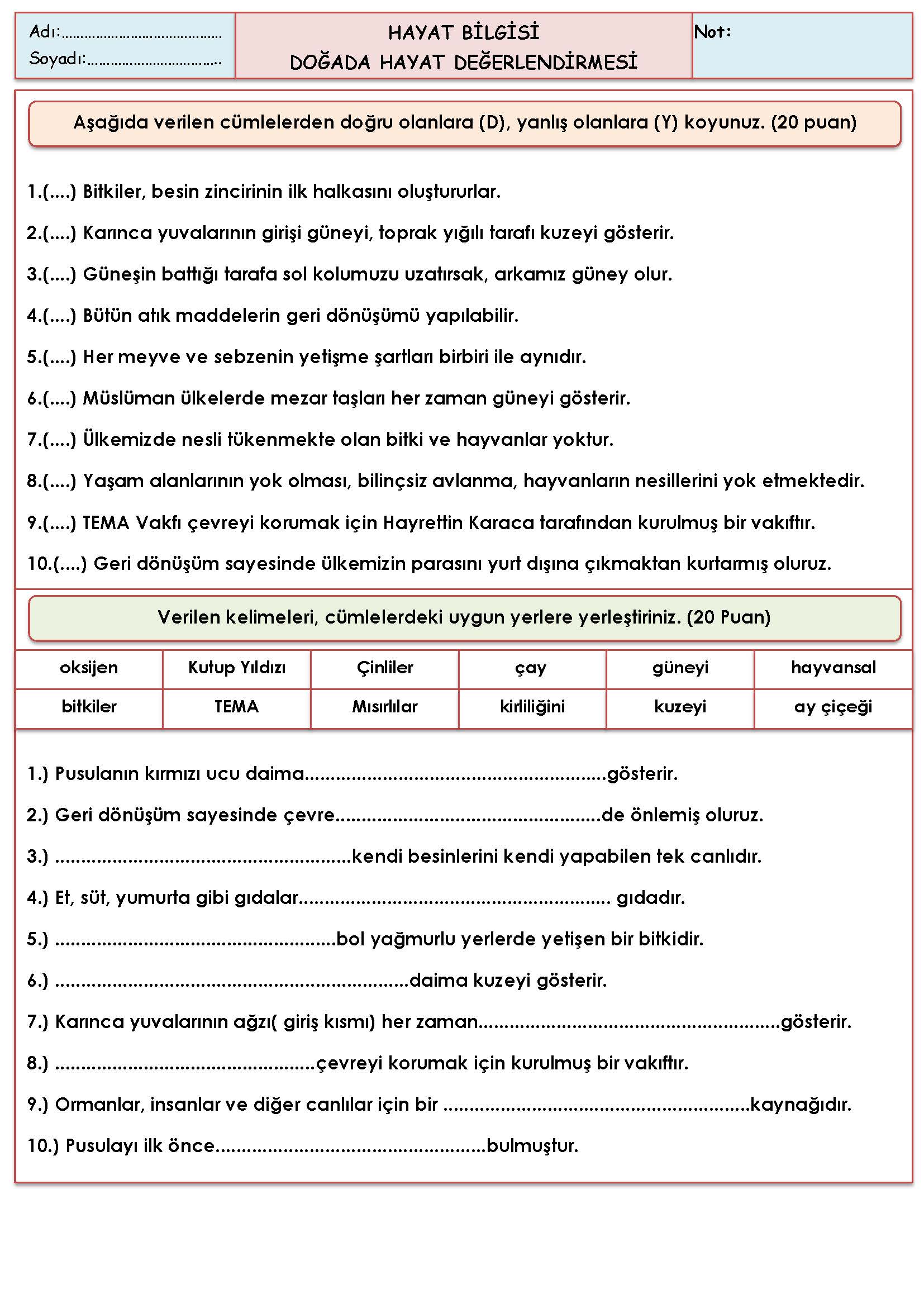 3. Sınıf Hayat Bilgisi Doğada Hayat Değerlendirmesi